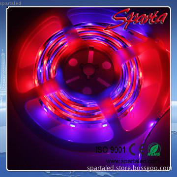 bright Flexible led strip lights 12v magic RGB color outdoor strip
